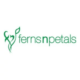 فيرنز اند بيتل Ferns N Petals